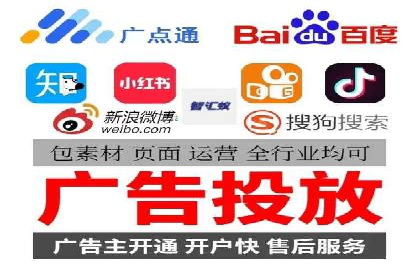 竞价广告与自然搜索的结合策略：XX网站的案例分析